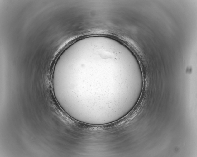 X0000093761212200711131140