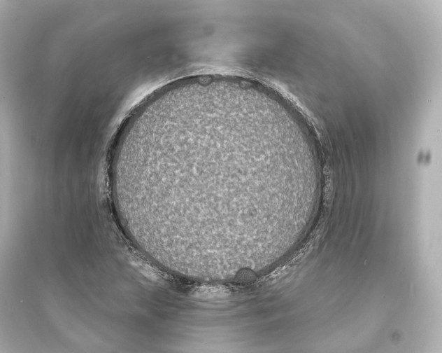 X0000093761215200711131140