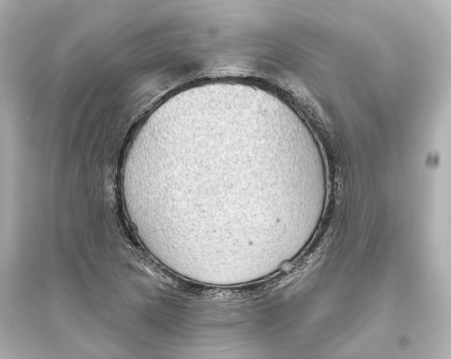 X0000093761217200711131140