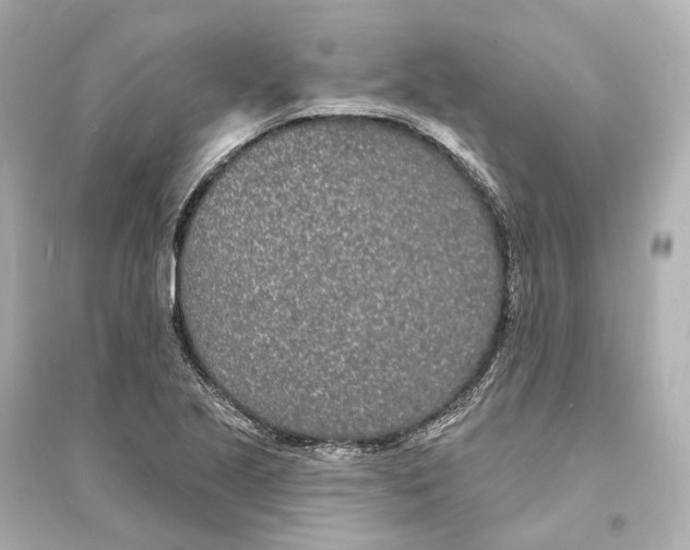 X0000093761221200711131140