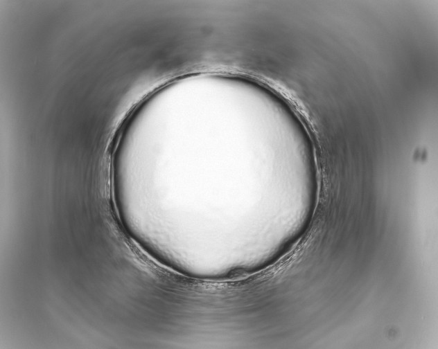 X0000093761223200711131140