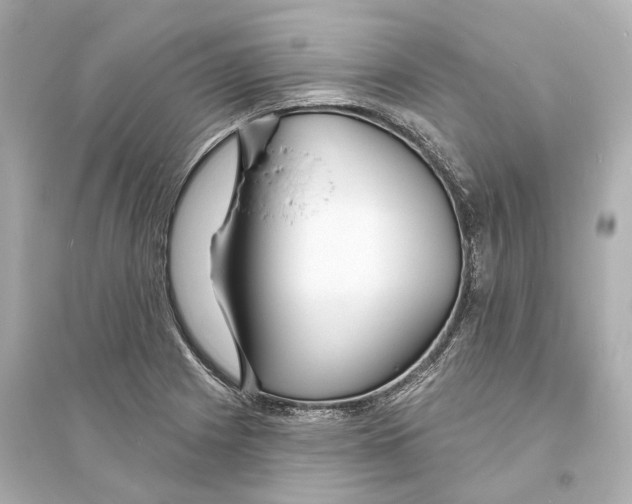 X0000093761225200711131141