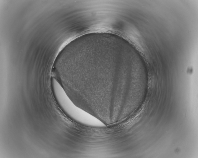 X0000093761226200711131141