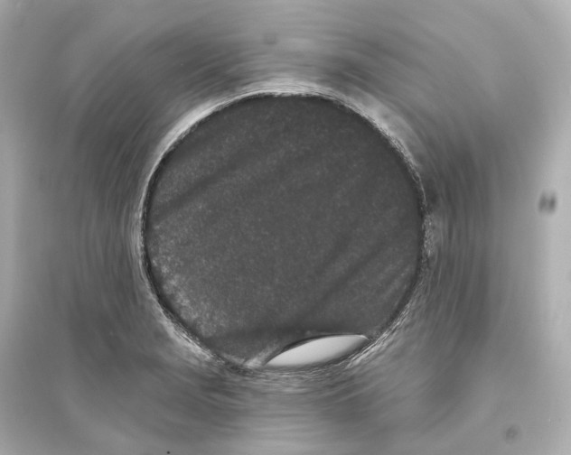 X0000093761229200711131141