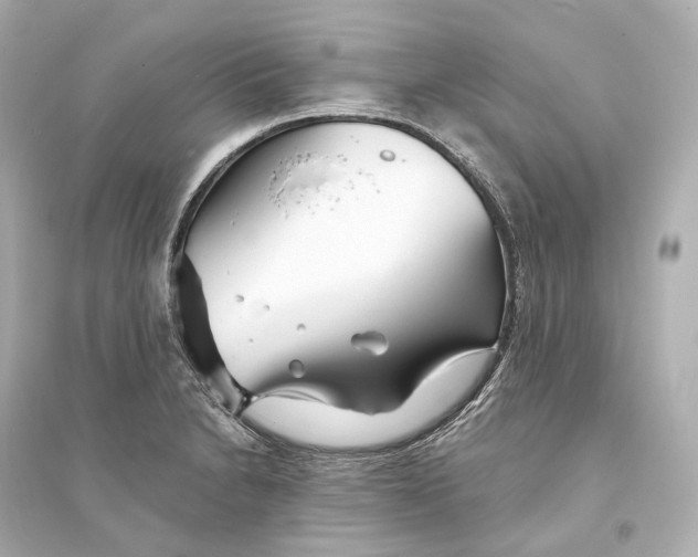 X0000093761230200711131141