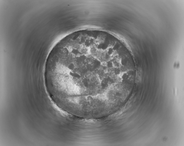 X0000093761231200711131141