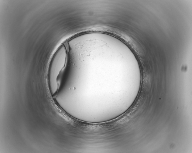 X0000093761232200711131141