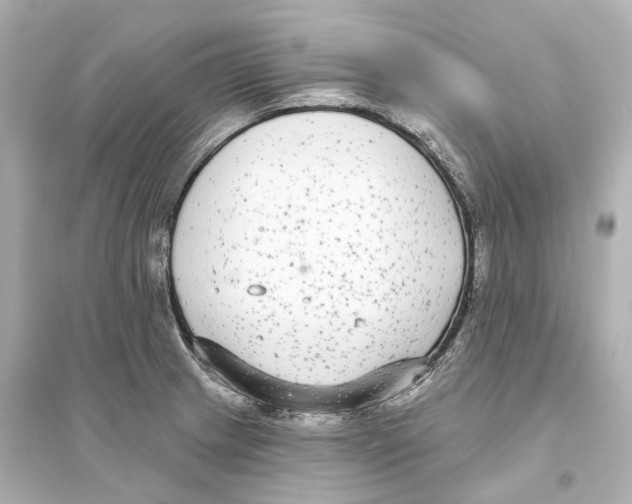 X0000093761233200711131141