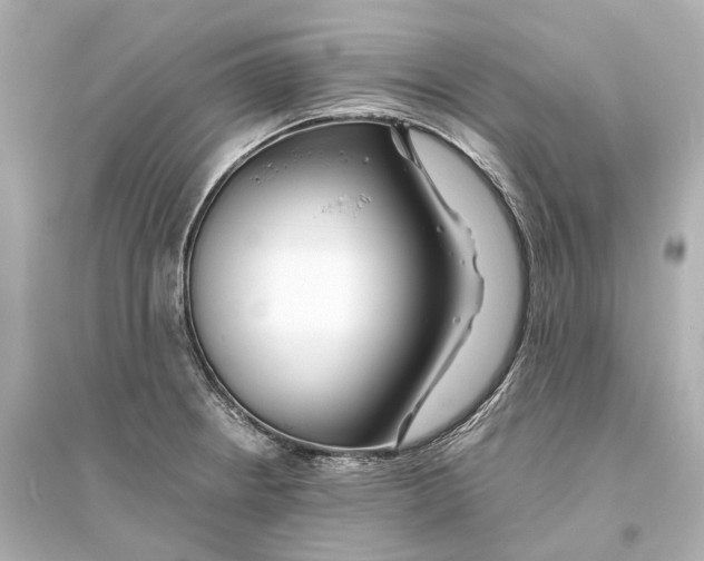 X0000093761234200711131141