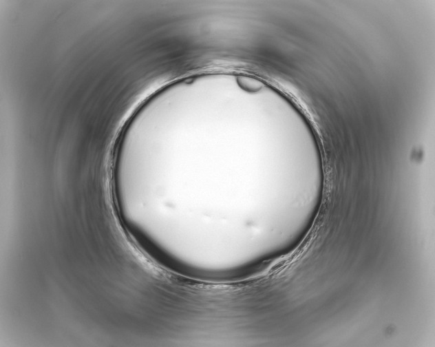 X0000093761235200711131141