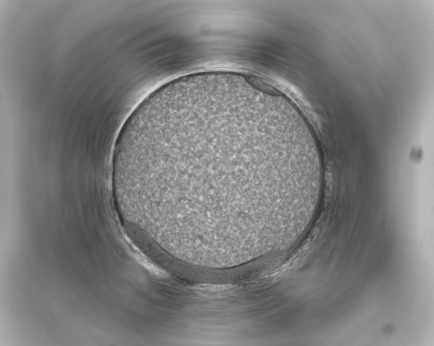 X0000093761236200711131141