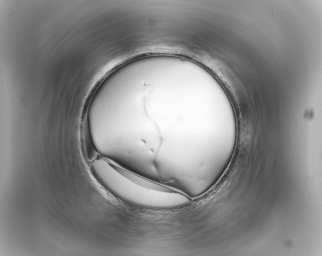 X0000093761237200711131141