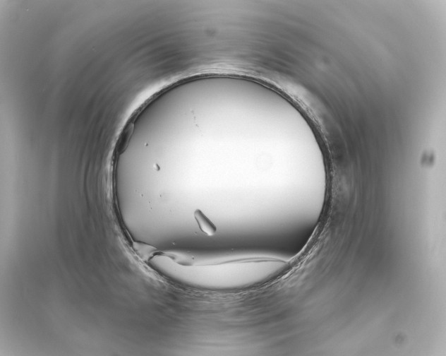 X0000093761238200711131141