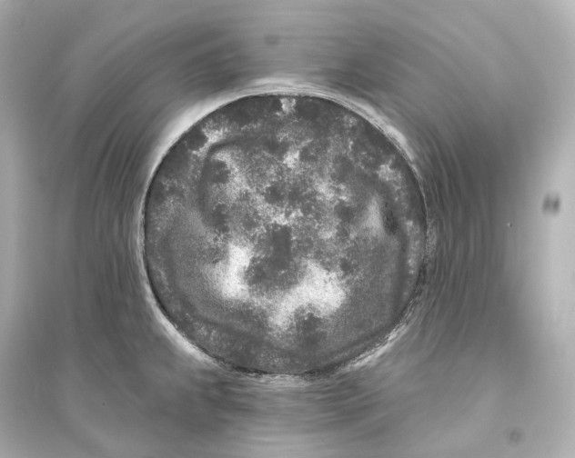 X0000093761239200711131141