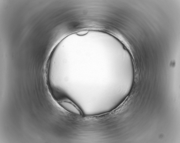 X0000093761243200711131141