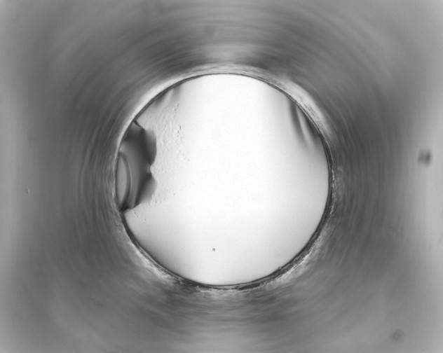 X0000093761244200711131141