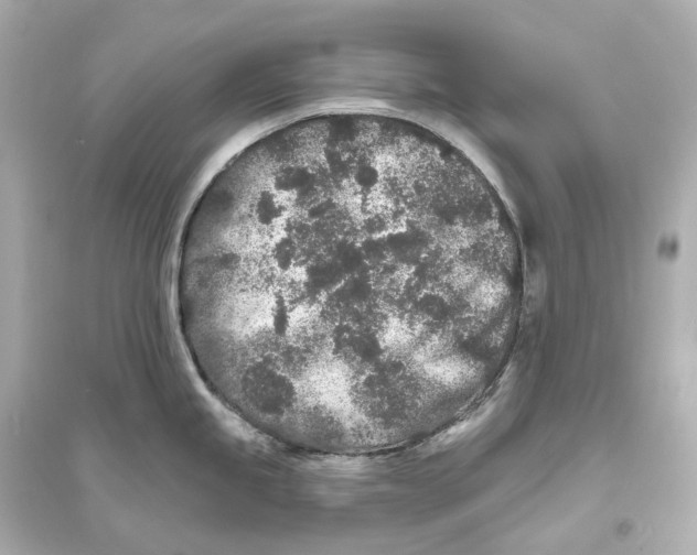 X0000093761245200711131141