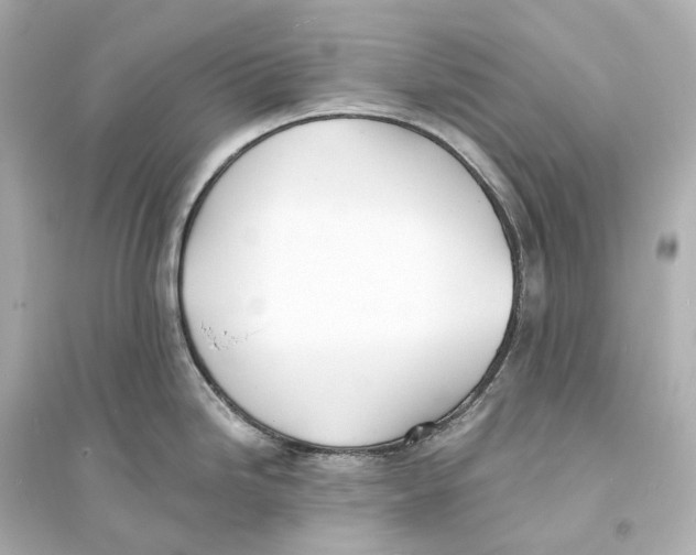 X0000093761246200711131141