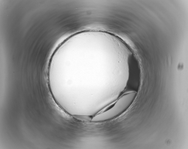 X0000093761248200711131141