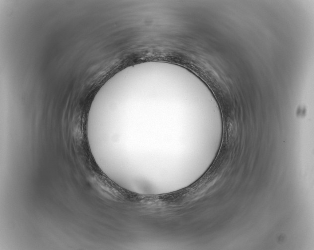 X0000093761250200711131140