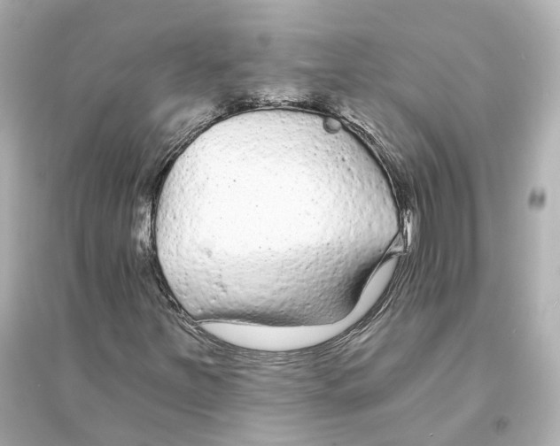 X0000093761251200711131140