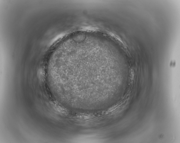 X0000093761254200711131140