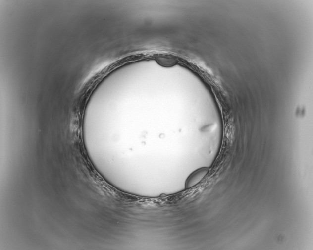 X0000093761255200711131140