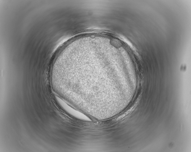 X0000093761259200711131140