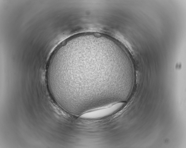 X0000093761260200711131140