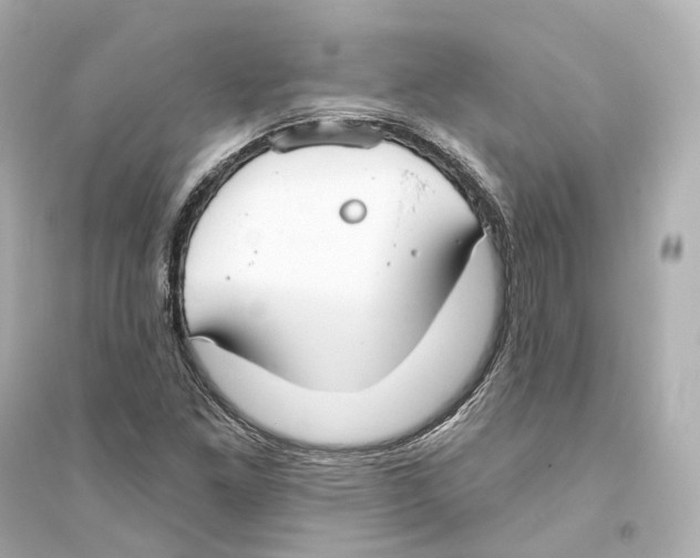 X0000093761261200711131140