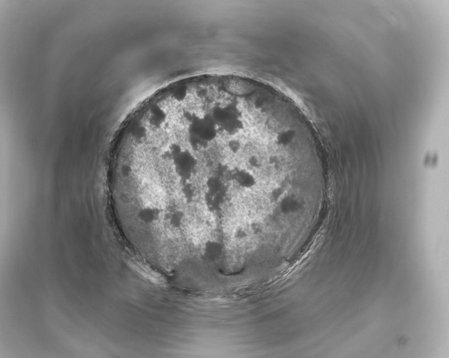 X0000093761263200711131140