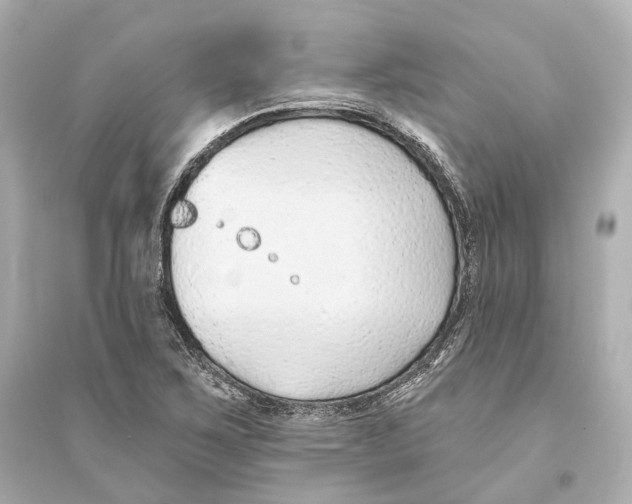 X0000093761267200711131140