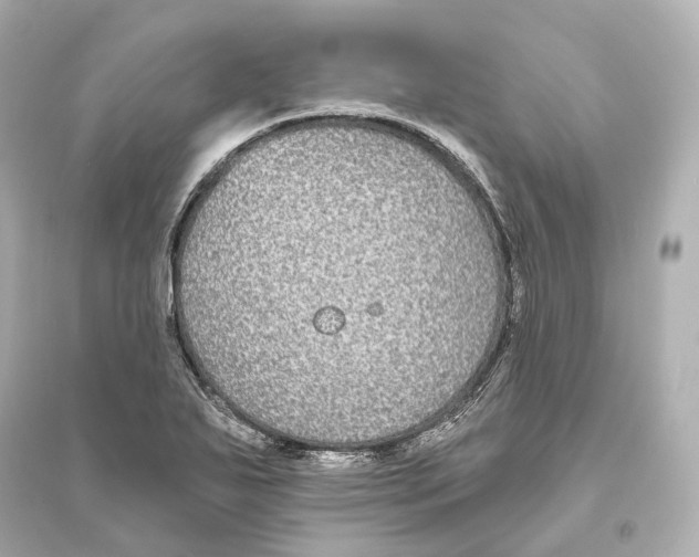 X0000093761271200711131140