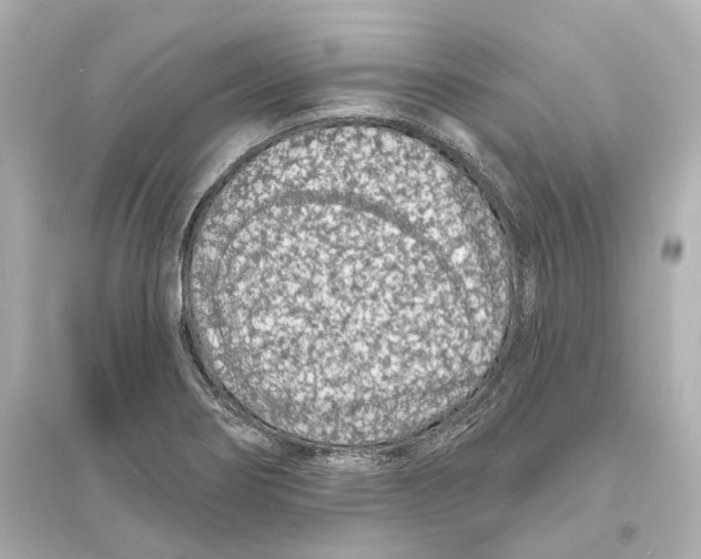 X0000093761274200711131140