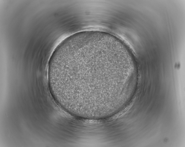 X0000093761275200711131140