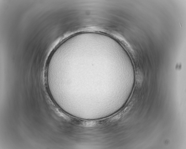 X0000093761278200711131140