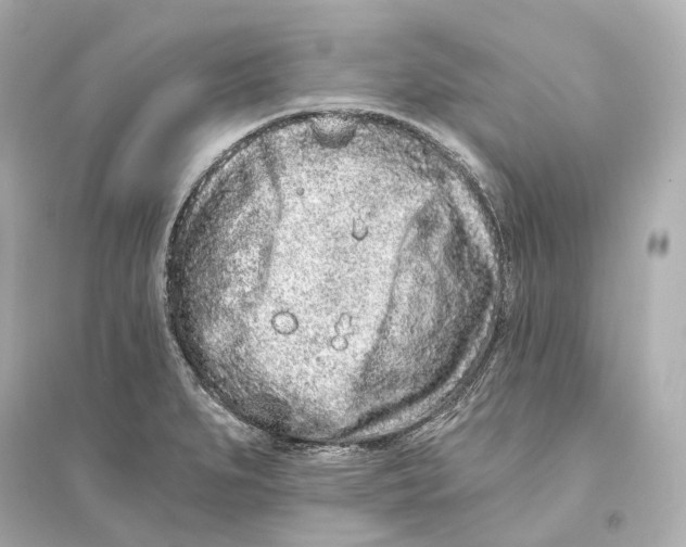 X0000093761279200711131140