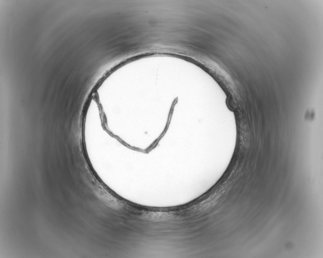 X0000093761280200711131140