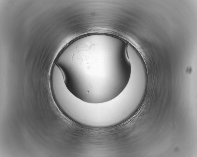 X0000093761283200711131140