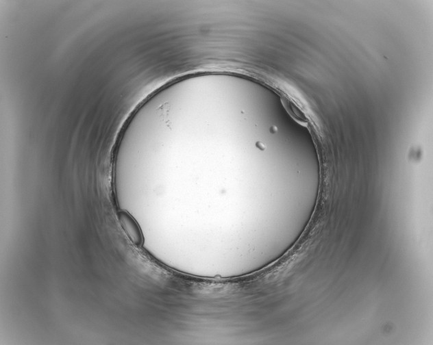 X0000093761284200711131140