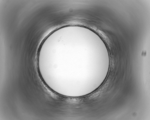 X0000093761286200711131139