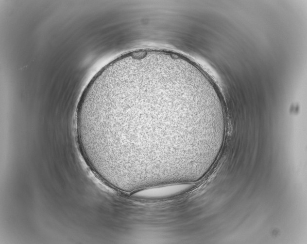 X0000093761287200711131139