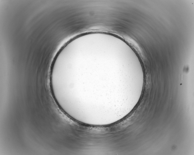 X0000093761288200711131139