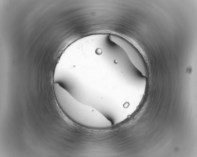 X0000093761289200711131139