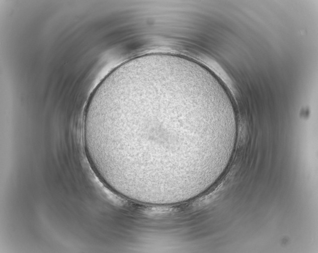 X0000093761290200711131139