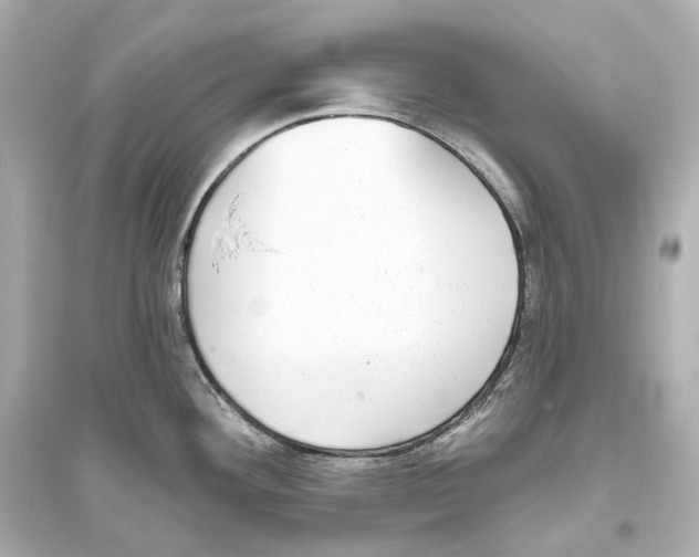 X0000093761292200711131139