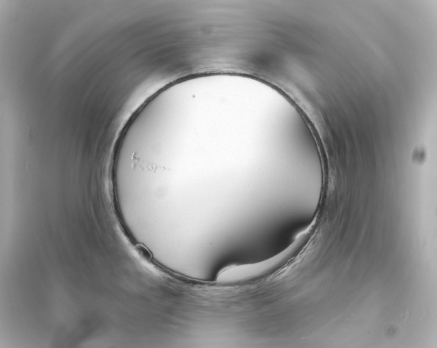 X0000093761293200711131139