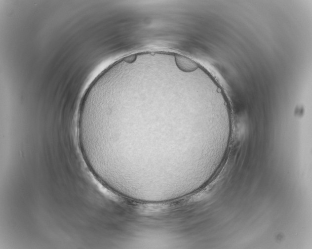 X0000093761294200711131139