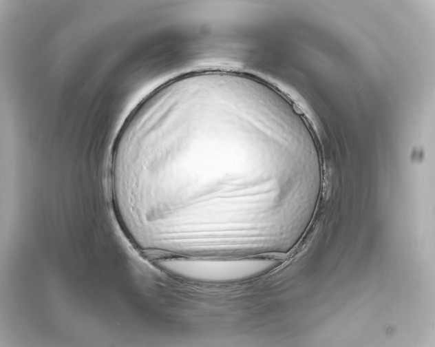 X0000093761295200711131139