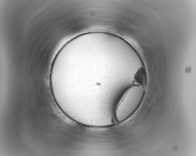 X0000093761296200711131139